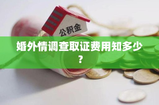 鲤城婚外情调查取证费用知多少？