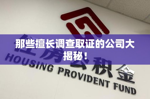 鲤城那些擅长调查取证的公司大揭秘！
