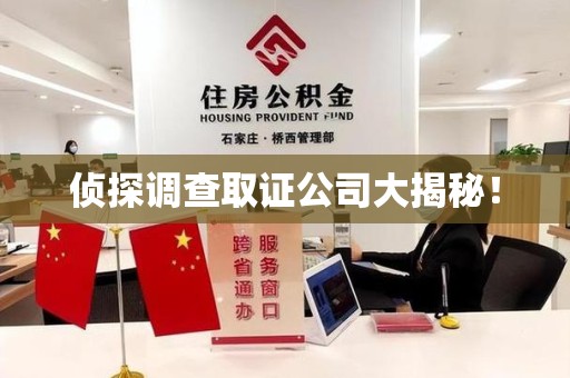 鲤城侦探调查取证公司大揭秘！