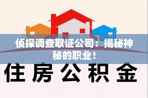 鲤城侦探调查取证公司：揭秘神秘的职业！