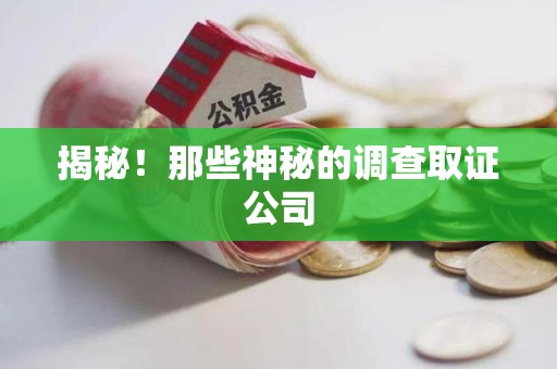 鲤城揭秘！那些神秘的调查取证公司