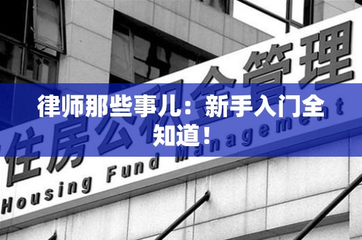 鲤城律师那些事儿：新手入门全知道！
