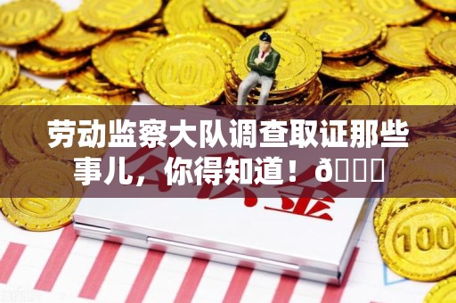 鲤城劳动监察大队调查取证那些事儿，你得知道！😎
