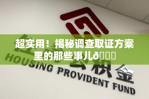 鲤城超实用！揭秘调查取证方案里的那些事儿😎
