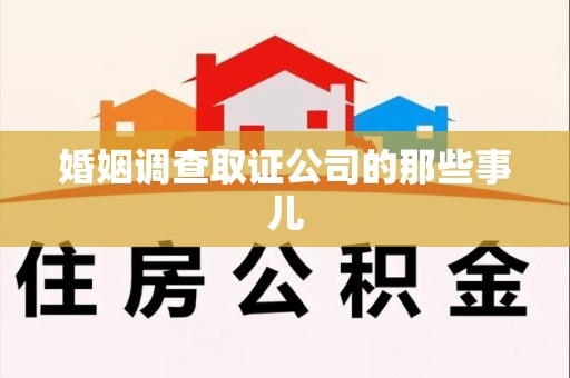 鲤城婚姻调查取证公司的那些事儿