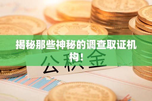 鲤城揭秘那些神秘的调查取证机构！