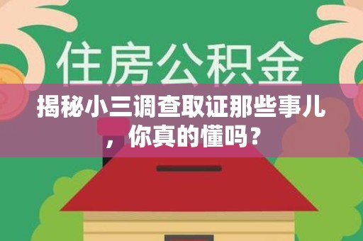鲤城揭秘小三调查取证那些事儿，你真的懂吗？