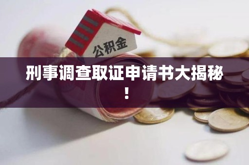 鲤城刑事调查取证申请书大揭秘！