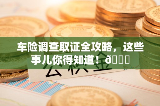 鲤城车险调查取证全攻略，这些事儿你得知道！😎