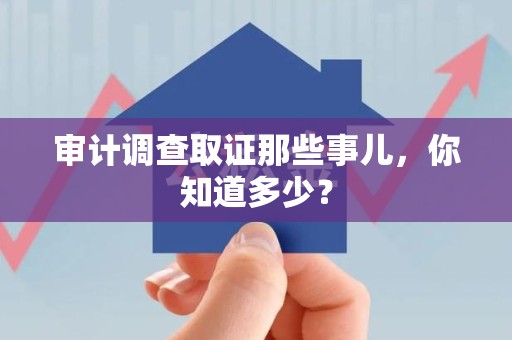 鲤城审计调查取证那些事儿，你知道多少？
