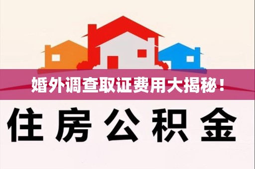 鲤城婚外调查取证费用大揭秘！