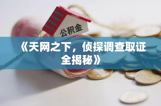 鲤城《天网之下，侦探调查取证全揭秘》