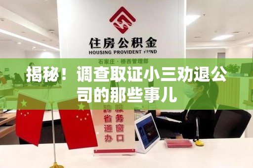 鲤城揭秘！调查取证小三劝退公司的那些事儿