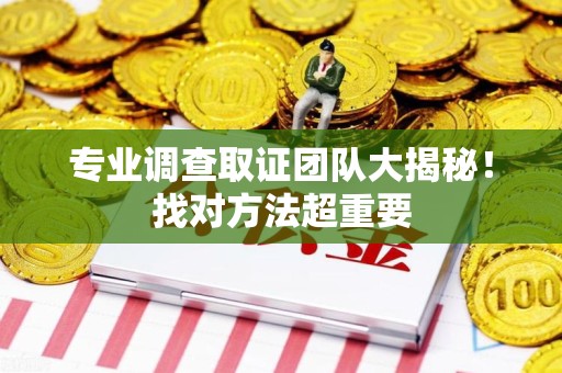 鲤城专业调查取证团队大揭秘！找对方法超重要