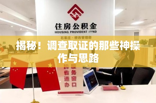 鲤城揭秘！调查取证的那些神操作与思路