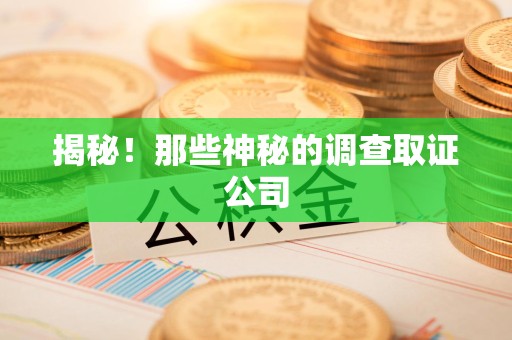 鲤城揭秘！那些神秘的调查取证公司