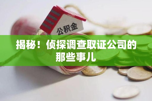 鲤城揭秘！侦探调查取证公司的那些事儿