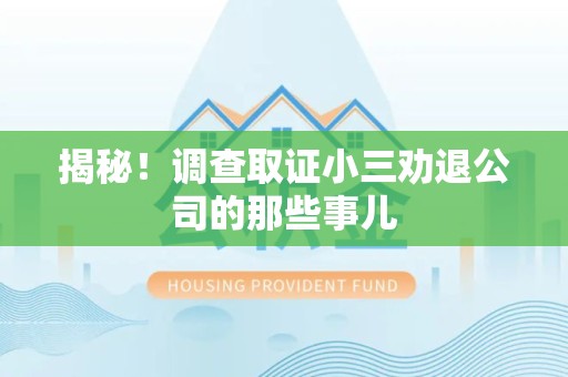 鲤城揭秘！调查取证小三劝退公司的那些事儿