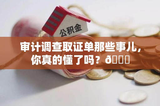 鲤城审计调查取证单那些事儿，你真的懂了吗？😎