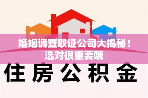 鲤城婚姻调查取证公司大揭秘！选对很重要哦