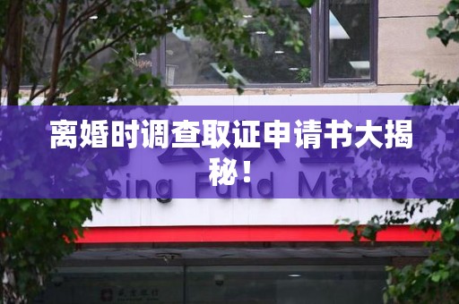 鲤城离婚时调查取证申请书大揭秘！